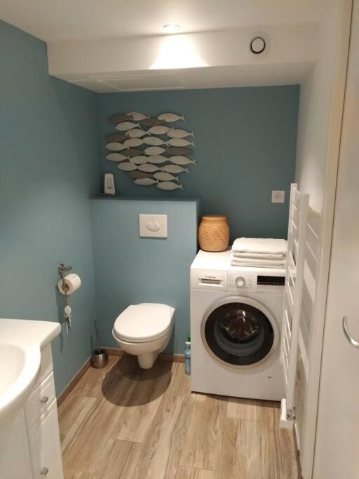 Apartment Tres Joli T2 Independant 250 M2 Jardin Privatif Saint-Malo
